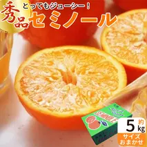 ZP6011n_【2026年先行予約】とってもジューシー！ セミノール 5kg