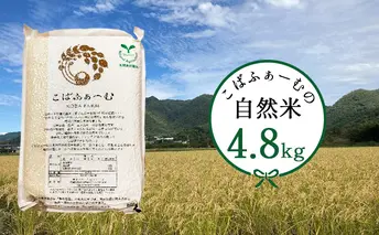2025年1月中旬以降出荷開始【令和6年度産】こばファームの自然米 4.8kg 精米 プレミアム （秀明自然農法認証、有機JAS認証） お米 