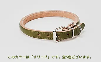 [No.5258-7039]0097good collar 5号［犬 猫 首輪］クリ