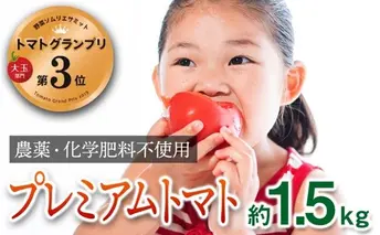【トマトGP受賞】栽培期間中農薬化学肥料不使用 こだわりのプレミアムトマト 約1.5kg 野菜 