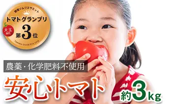【トマトGP受賞】栽培期間中農薬化学肥料不使用 こだわりのプレミアムトマト 約3kg 野菜 
