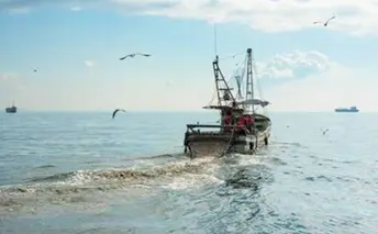 家島しまたび　底引き網漁体験とBBQの昼食　4名様分 パッケージ旅行 