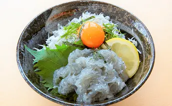 絶品！！天晴しらす丼セット 5セット 魚貝類 加工食品 加工品 惣菜 冷凍 