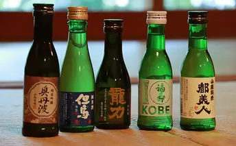 兵庫五国！定番お手軽セット お酒 日本酒 純米酒 純米吟醸酒 飲み比べセット 