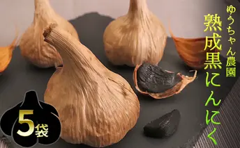 ゆうちゃん農園熟成黒にんにく　M玉3個入×5袋［ 無化学肥料 無添加 有機栽培 安全 安心 国産ニンニク ］ 野菜 加工食品 美容 