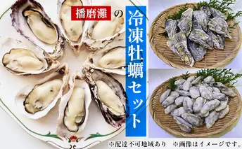 牡蠣 ぷりぷり濃厚！ 播磨灘の冷凍牡蠣 セット 加熱用 殻付かき 12個 むき身かき 50粒前後 魚介 魚介類 海鮮 貝類 生牡蠣 かき 海の幸 