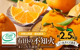 ZE6209n_【2026年先行予約】有田の不知火(しらぬひ) 2.5kg　8～11玉　（M～2Lサイズ）まごころ手選別