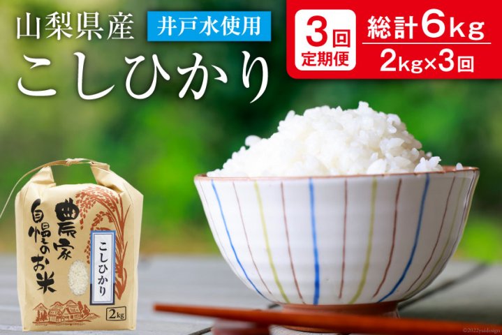 ふるさと納税 無洗米ななつぼし5kg×6ヶ月 低農薬 米 北海道 北竜町産