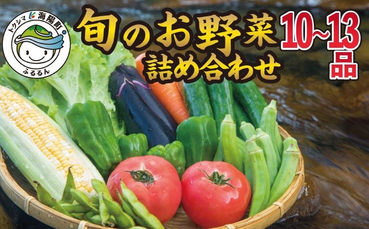 阿波の国海陽町　旬のお野菜詰め合わせセット１０‐１３品　クチコミで探すならふるさと納税ニッポン！
