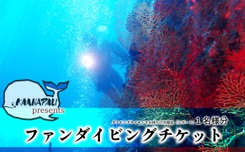徳島最南端の海でファンダイビング！（２ボート）