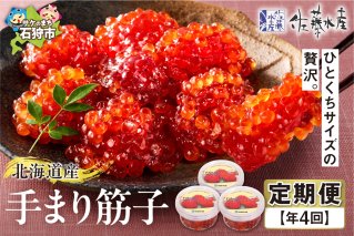 【定期便・年4回】佐藤水産 手まり筋子の定期便【年4回】
