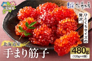 佐藤水産 手まり筋子 480g (120g×4)