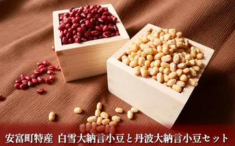 安富町特産　白雪大納言小豆と丹波大納言小豆セット 野菜 あずき 