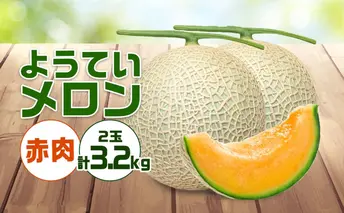 【 2025年発送 】先行予約 北海道 赤肉メロン 約1.6kg 2玉 メロン 赤肉 果物 フルーツ 甘い 完熟 スイーツ デザート 産直 国産 贈答品 お祝い ギフト羊蹄山 JAようてい