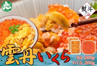 3381. 無地熨斗 ウニ チリ産 冷凍 いくら 二色丼 うに 雲丹 イクラ 海鮮 海鮮丼 うに丼 いくら丼 いくら醤油漬け 熨斗 のし 名入れ不可 贈り物 贈答用 送料無料 北海道 弟子屈町