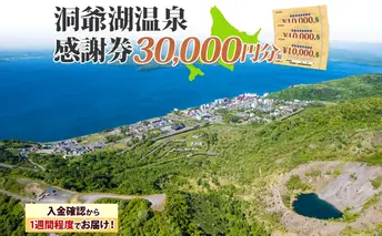洞爺湖温泉感謝券 30000円 分 金券 クーポン 洞爺湖 湖 温泉 リゾート 有珠山 火山 自然 花火 イルミネーション 旅行 観光 宿泊 施設 北海道