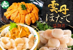 3351. うに チリ産 冷凍 200g ホタテ 200g 計400g セット ウニ 雲丹 ほたて 生ほたて 帆立 海鮮 海鮮丼 送料無料 北海道 弟子屈町