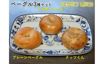 噛み応えと発酵に拘った当店定番ベーグルセット（3種各3個計9個） パン 朝食 冷凍可 