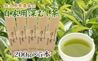 038-12 牧之原茶農家の自家用深むし茶200ｇ×5本