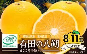ZE6356n_【2026年先行予約】有田の八朔 (はっさく) 2.5kg　8～11玉 （M～2Lサイズ）まごころ手選別