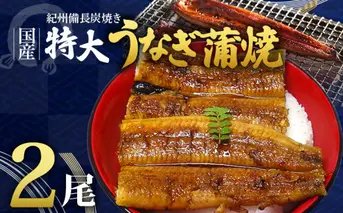 R6102_紀州備長炭焼き 特大 うなぎ 蒲焼き(国産)【鰻 ウナギ 丑の日 土用 蒲焼き 関西風 冷凍】