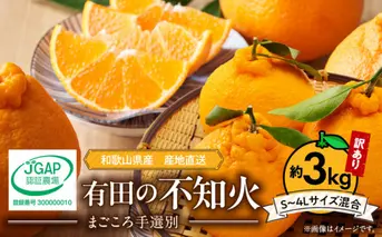 ZE6378n_【2026年先行予約】有田の不知火(しらぬひ) 【訳あり　家庭用】　3kg (S～4Lサイズ混合)まごころ手選別