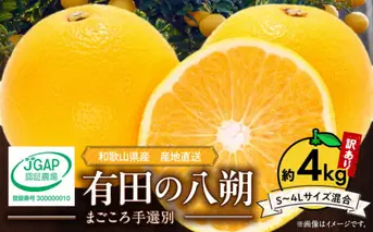 ZE6379n_【2026年先行予約】有田の八朔 (はっさく)【訳あり　家庭用】4kg (S～4Lサイズ混合)　まごころ手選別
