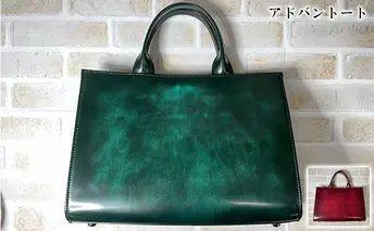 [No.5258-7347]0581アドバントート ＃レッド