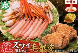 2462. 紅ズワイ 蟹しゃぶ ビードロ 1kg 毛蟹 2尾 計700g前後 専用ハサミ・ガイド付き 紅ずわい 毛ガニ 蟹 カニ しゃぶしゃぶ 鍋 海鮮 送料無料 北海道 弟子屈町