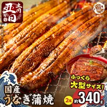 G7313_【土用の丑の日】＜10月23日までにお届け＞ふっくら柔らか 国産うなぎ蒲焼き 2尾