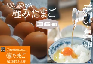 DO6008_紀の国みかん 極みたまご 36個