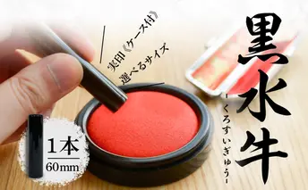 北海道 黒水牛 印鑑 実印 60mm×1本 ケース付 選べる 書体 18mm 16.5mm はんこ ハンコ ケース 本革 もみ革 朱肉入 桐箱入 成人式 卒業式 入学式 就職 贈り物 お祝い プレゼント ギフト ニセコ はんこ広場 文房具