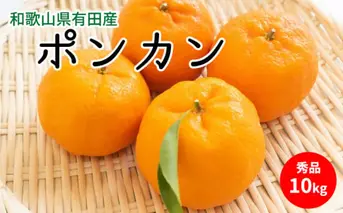 U6227n_【2026年先行予約】ポンカン 秀品 約10kg 和歌山県有田産