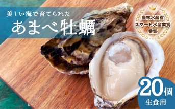 あまべ牡蠣 20個 牡蠣 シングルシード 生食用 殻付き かき カキ オイスター 生ガキ 生牡蠣 生がき 生かき ギフト 貝 旨味