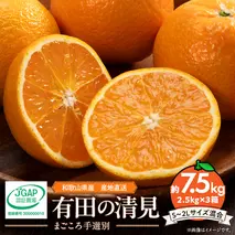 ZE6121n_【2026年先行予約】和歌山県産 有田の 清見 7.5kg (2.5kg×3箱) (S～2Lサイズ混合) 【まごころ手選別】