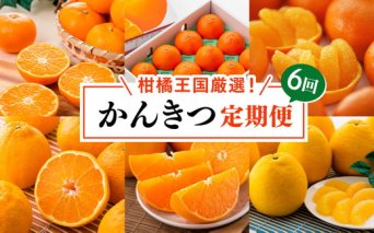 【定期便】【愛媛県共通返礼品】愛媛のかんきつ定期便（全6回）（日の丸みかん・紅まどんな・伊予柑・不知火・せとか・河内晩柑) ｜みかん 蜜柑 日の丸みかん 紅まどんな 伊予柑 不知火（デコポン） せとか 河内晩柑 柑橘 フルーツ 濃厚 甘味 甘い 愛媛みかん 国産 愛媛県産 果物 くだもの 絶品 美味しい お取り寄せ 愛媛 久万高原町 ※2025年11月下旬～2026年4月下旬頃に毎月1回発送