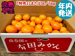 ZF6030n_≪年内発送≫【完熟早生・有田みかん】『特秀』LまたはMサイズ／5kg
