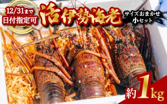 伊勢海老 活伊勢海老 約1kg サイズおまかせ 伊勢えび 伊勢エビ いせえび イセエビ 季節限定 海老 えび エビ 高級 国産 海鮮 ギフト お正月 [要受取日指定]
