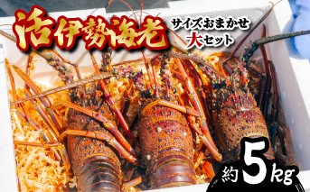 伊勢海老 活伊勢海老 約5kg サイズおまかせ 伊勢えび 伊勢エビ いせえび イセエビ 季節限定 海老 えび エビ 高級 国産 海鮮 ギフト お正月 【要受取日指定／年末配送可】