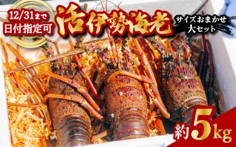 伊勢海老 活伊勢海老 約5kg サイズおまかせ 伊勢えび 伊勢エビ いせえび イセエビ 季節限定 海老 えび エビ 高級 国産 海鮮 ギフト お正月 【要受取日指定】