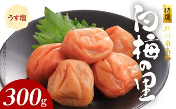 SF1012_特選紀州南高梅「白梅の里」うす塩味　300ｇ