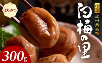 SF1015_特選紀州南高梅「白梅の里」はちみつ　300ｇ