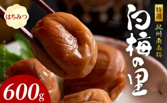 SF2007_特選紀州南高梅「白梅の里」はちみつ　600ｇ