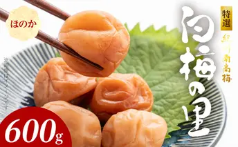 SF2005_特選紀州南高梅「白梅の里」ほのか　600ｇ
