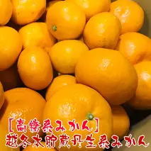 AB7068n_【高糖系みかん】越冬本貯蔵 丹生系みかん 約5kg