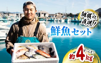 産地直送！ 海陽町より旬の魚をお届け！ 鮮魚セット 中セット 約４kg  詰め合わせ