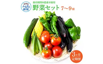t139slv　野菜セット（7‐9種類） 《3カ月定期便》 栽培期間中農薬不使用！ 季節の野菜 定期コース 定期 無農薬 野菜 やさい 新鮮 自然 健康 セット 詰め合わせ 冷蔵 美味しい おいしい 食べ物 食材 秋 旬の味覚 ご当地 お取り寄せ 芸西村 18000円 故郷納税 返礼品