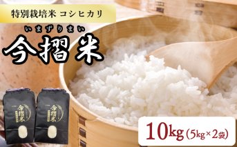 令和5年産 JA北新潟 特別栽培米コシヒカリ 5㎏×2袋 今摺米　【 新潟県産 新発田 特別栽培米 コシヒカリ 5kg 2袋 今ずり米 JA北新潟 10kg D50 】