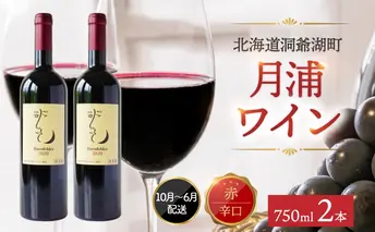 北海道 月浦ワイン 赤 750ml×2本 ドルンフェルダー 赤ワインお酒 アルコール ブドウ酒 自社農園 家飲み お祝い 記念日 贈答用 ギフト 月浦ワイナリー 送料無料 まろやか 深い味わい 大切な日