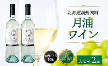 北海道 洞爺湖町産 月浦ワイン 白 750ml×2本 ミュラートゥルガウ 白ワインお酒 アルコール ブドウ酒 自社農園 家飲み お祝い 記念日 贈答用 ギフト 月浦ワイナリー 送料無料 フルーティ 宅飲み 国産